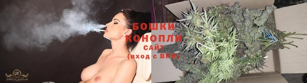 прущая мука Инта