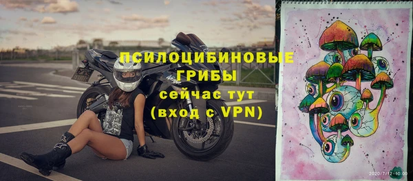 винт Каменногорск