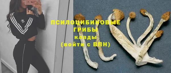 jwh Инсар