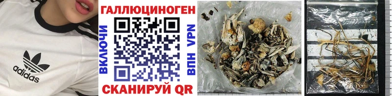 Купить  Ивантеевка  Галлюциногенные грибы прущие грибы 